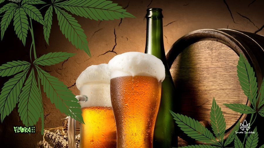 Arte mostra a ilustração de dois copos de cerveja junto a folhas de maconha.