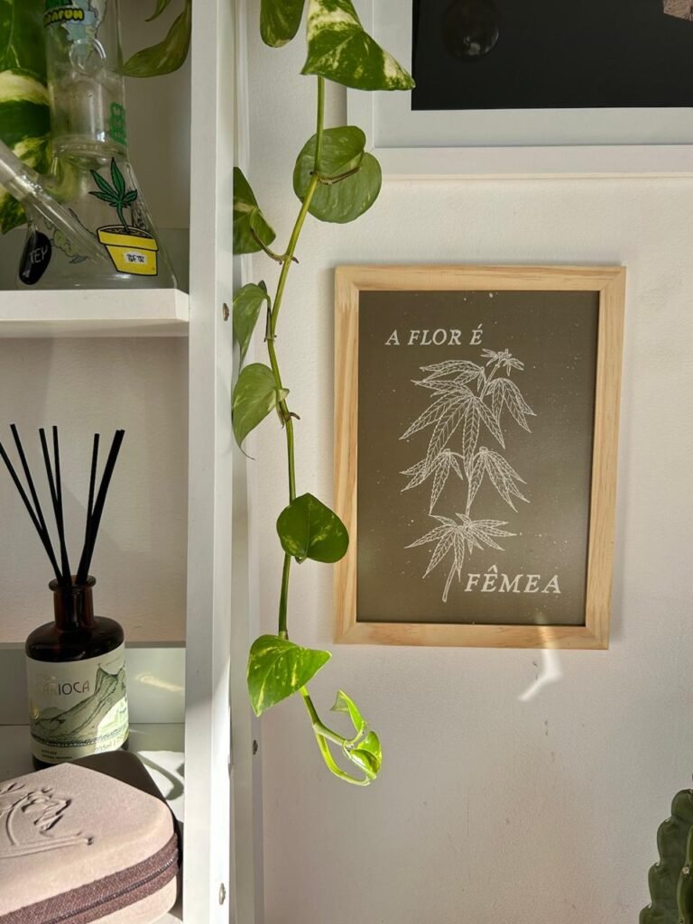 Fotografia de um quadro da marca Erva, que diz 'A flor é fêmea' e traz a flor de cannabis desenhada, pendurado em uma parede branca.