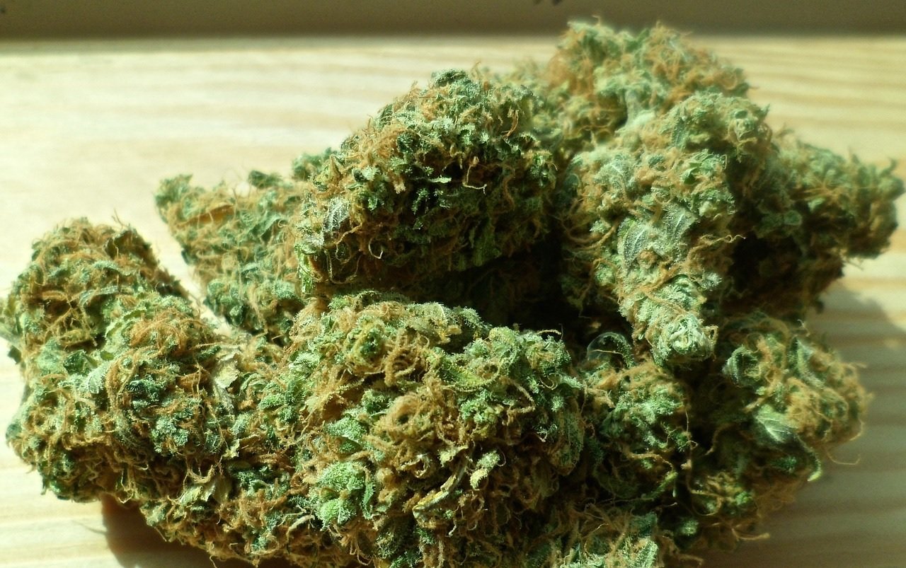 Fotografia mostra uma porção de buds de maconha secos. Imagem: Chuck Herrera | Pixabay.